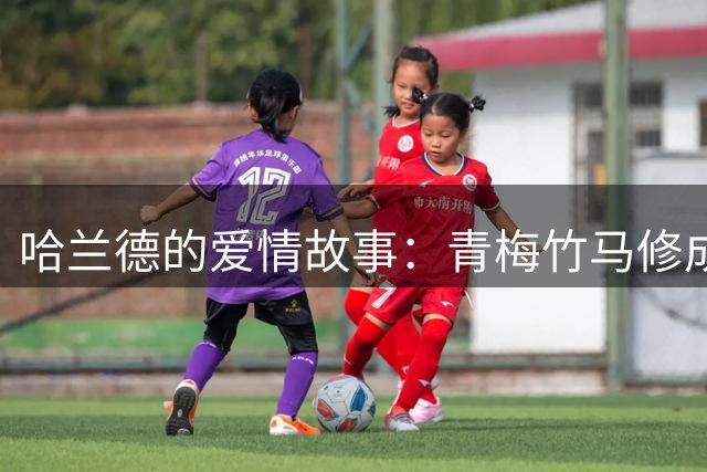 哈兰德的爱情故事：青梅竹马修成正果 女友主动追求他