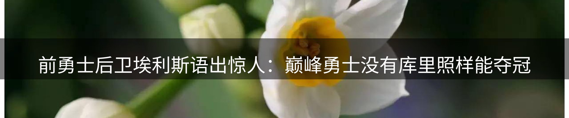 新闻动态