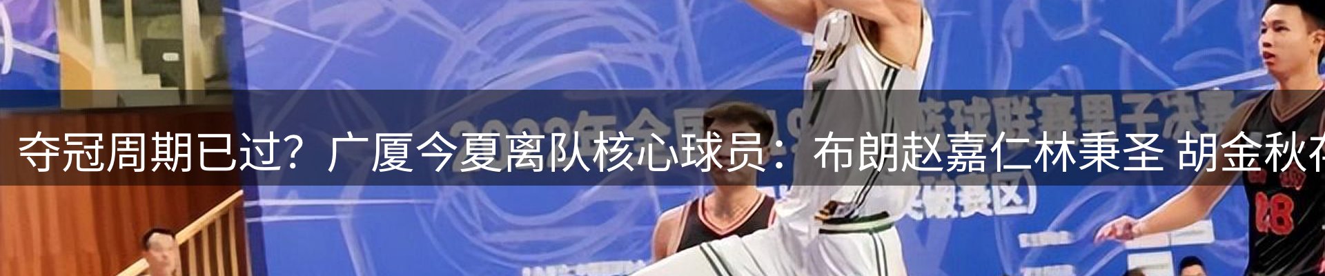 新闻动态