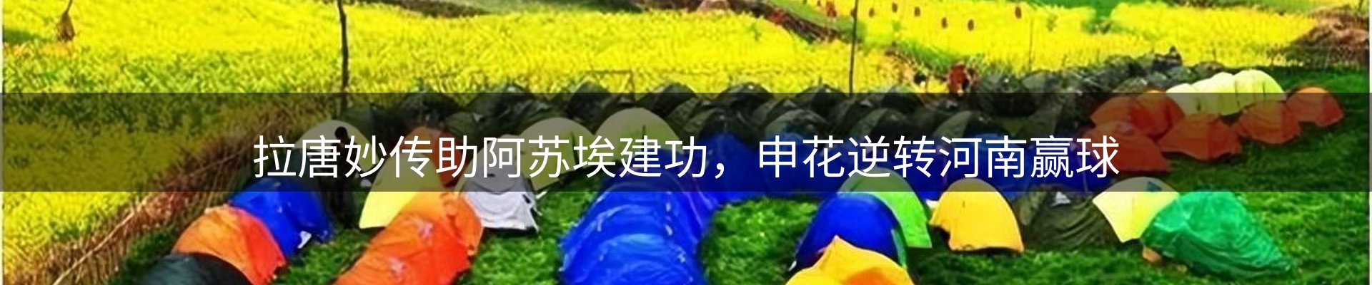 新闻动态
