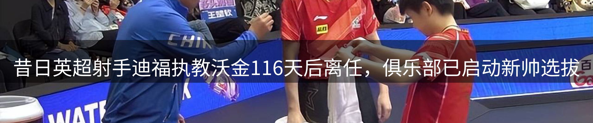 新闻动态