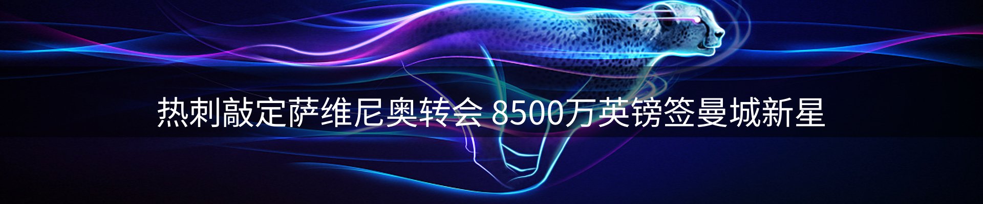 新闻动态