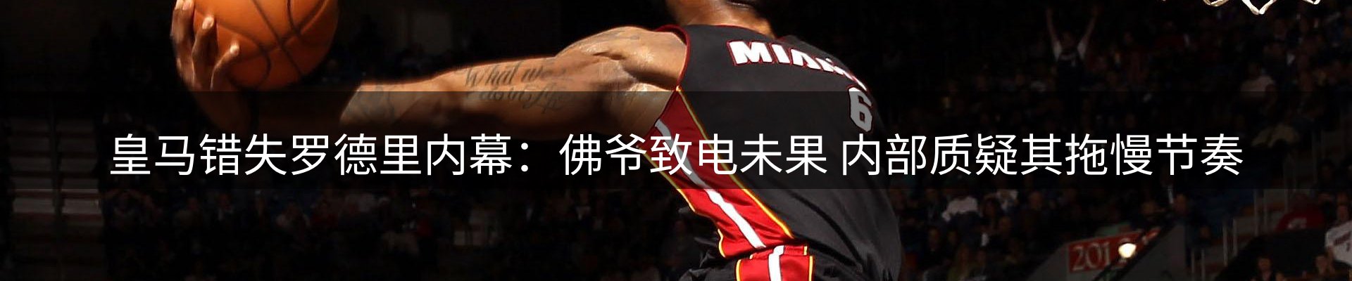 新闻动态